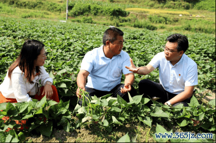 图：驻村文告与州里干部对接通过普惠金融谋发展促增收